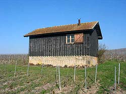 Loge dans les vignes